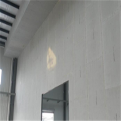 云和宁波ALC板|EPS加气板隔墙与混凝土整浇联接的实验研讨